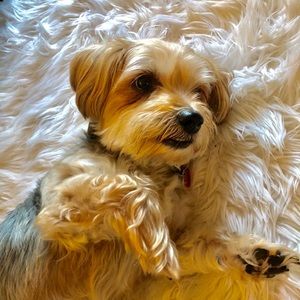 Meet your Posher, Tina